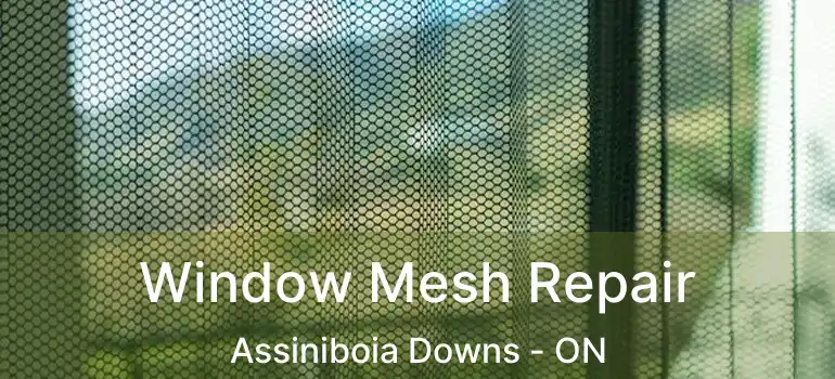  Window Mesh Repair Assiniboia Downs - ON