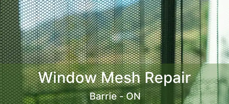  Window Mesh Repair Barrie - ON
