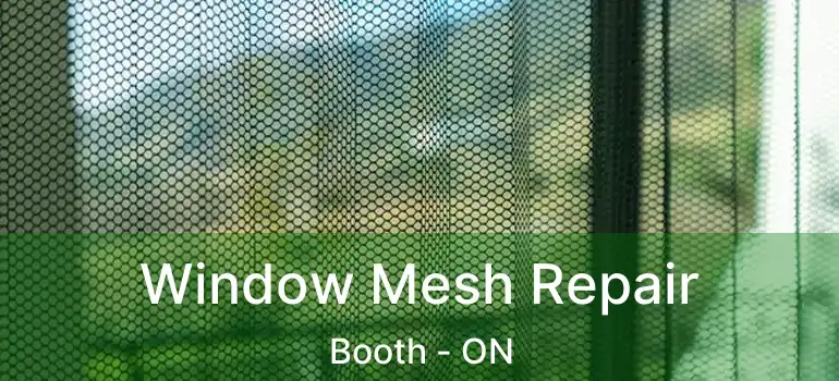  Window Mesh Repair Booth - ON