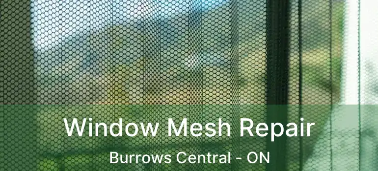  Window Mesh Repair Burrows Central - ON