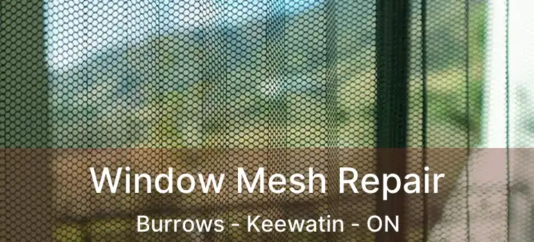  Window Mesh Repair Burrows - Keewatin - ON