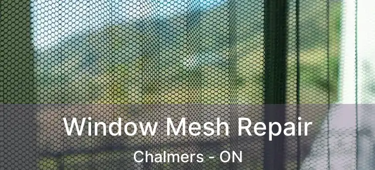  Window Mesh Repair Chalmers - ON