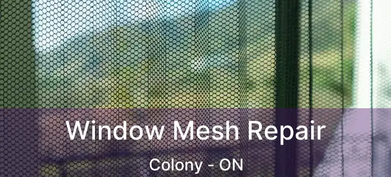  Window Mesh Repair Colony - ON