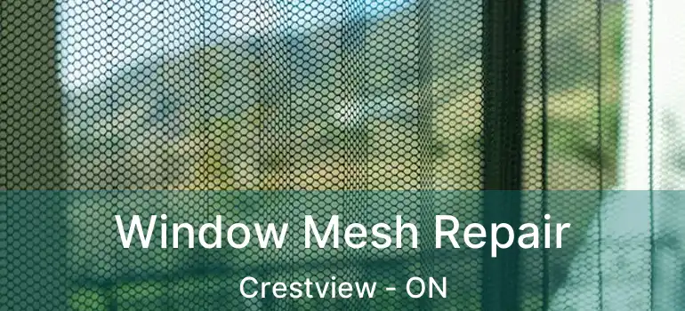  Window Mesh Repair Crestview - ON