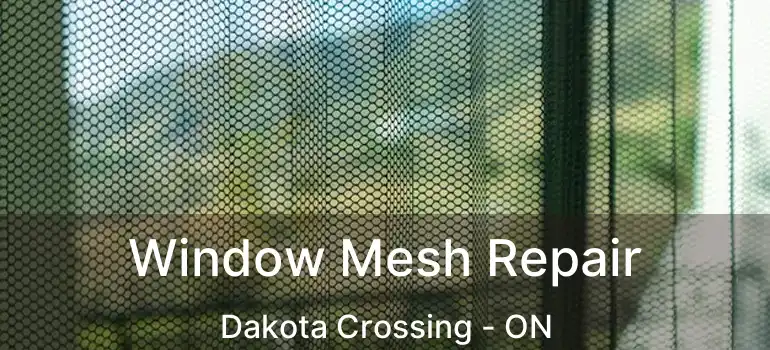  Window Mesh Repair Dakota Crossing - ON