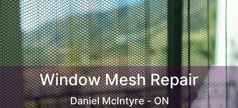  Window Mesh Repair Daniel McIntyre - ON