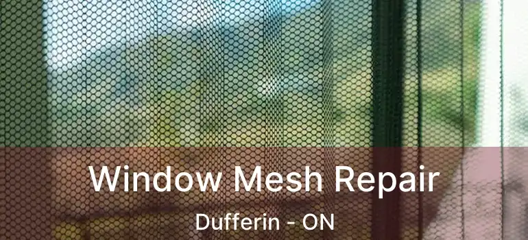  Window Mesh Repair Dufferin - ON