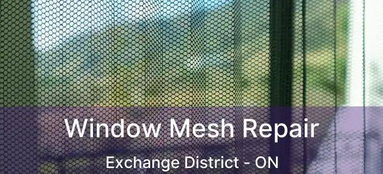  Window Mesh Repair Exchange District - ON
