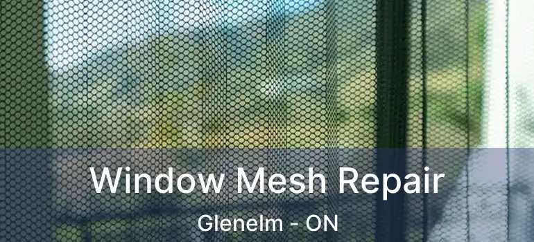  Window Mesh Repair Glenelm - ON
