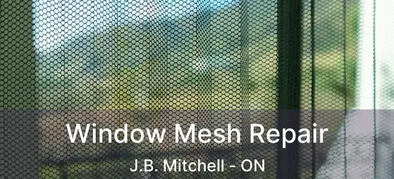  Window Mesh Repair J.B. Mitchell - ON