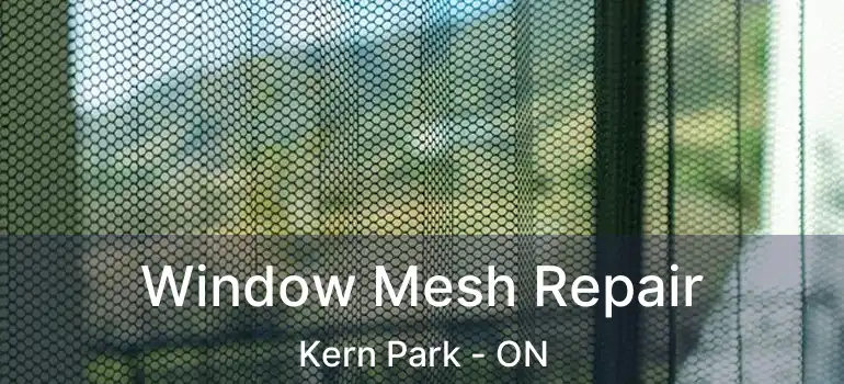  Window Mesh Repair Kern Park - ON