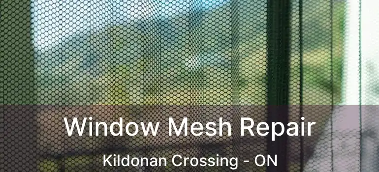  Window Mesh Repair Kildonan Crossing - ON
