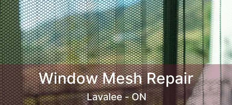  Window Mesh Repair Lavalee - ON