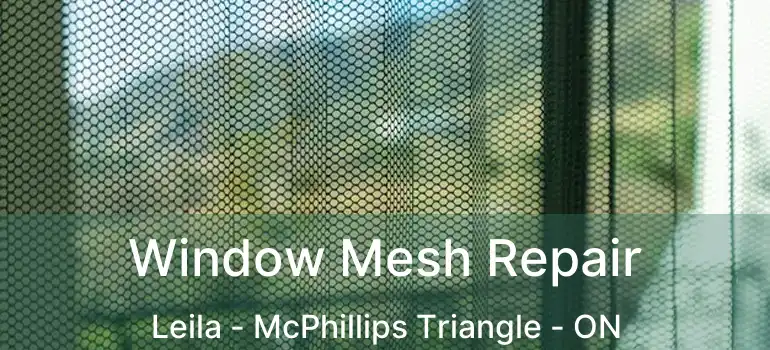  Window Mesh Repair Leila - McPhillips Triangle - ON