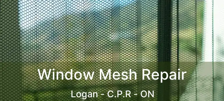  Window Mesh Repair Logan - C.P.R - ON
