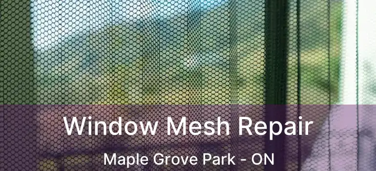  Window Mesh Repair Maple Grove Park - ON