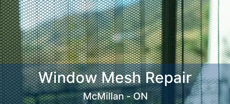  Window Mesh Repair McMillan - ON