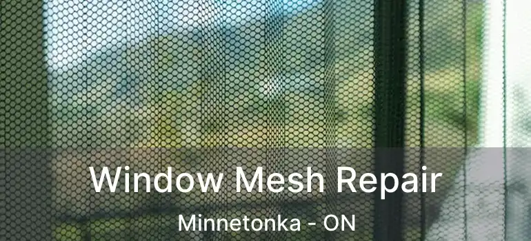  Window Mesh Repair Minnetonka - ON