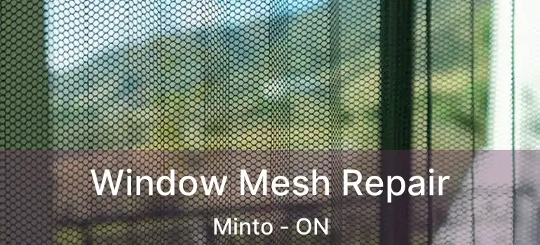  Window Mesh Repair Minto - ON