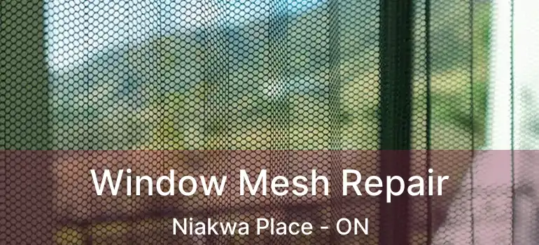  Window Mesh Repair Niakwa Place - ON