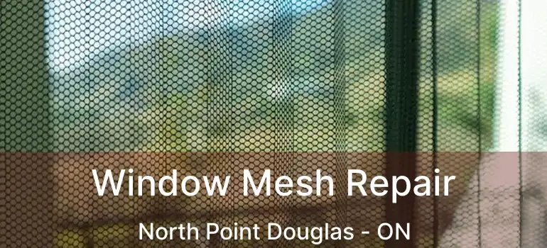  Window Mesh Repair North Point Douglas - ON