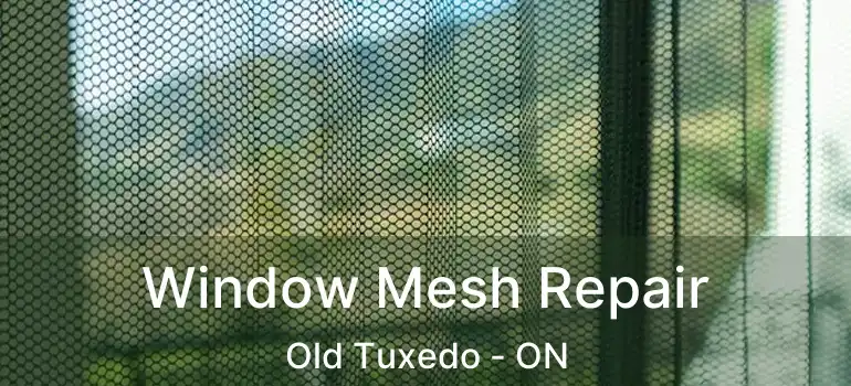  Window Mesh Repair Old Tuxedo - ON