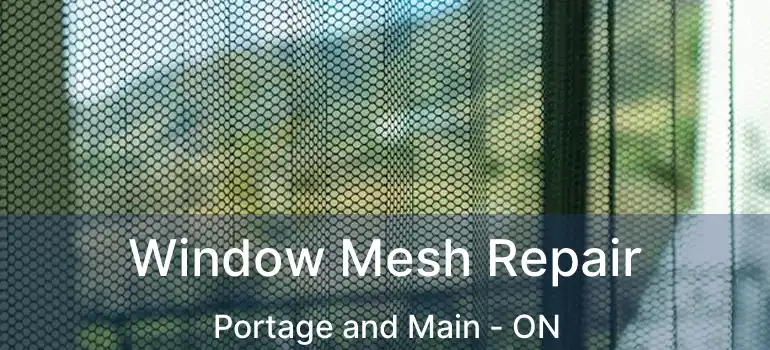  Window Mesh Repair Portage and Main - ON