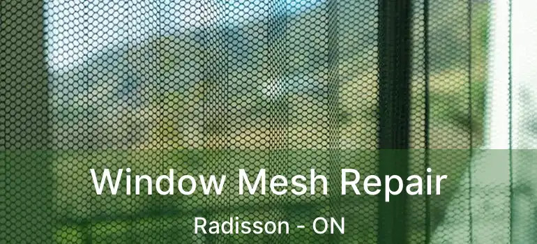  Window Mesh Repair Radisson - ON