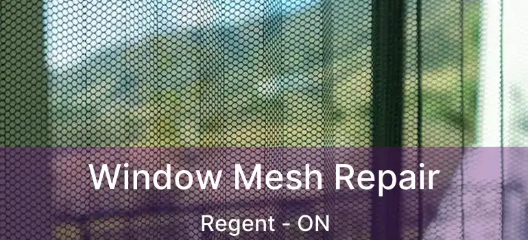  Window Mesh Repair Regent - ON