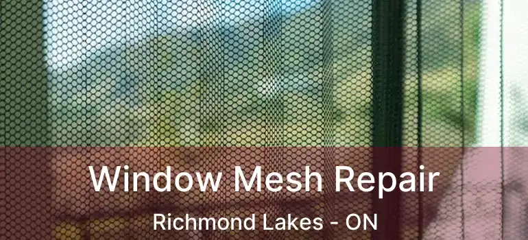  Window Mesh Repair Richmond Lakes - ON