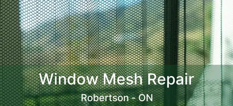  Window Mesh Repair Robertson - ON