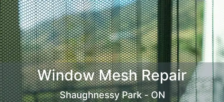  Window Mesh Repair Shaughnessy Park - ON