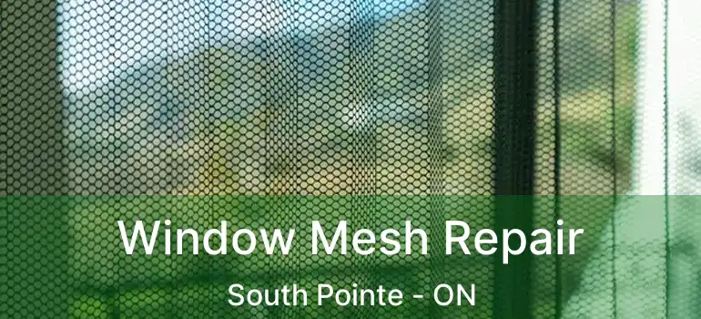  Window Mesh Repair South Pointe - ON