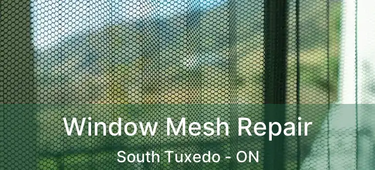  Window Mesh Repair South Tuxedo - ON