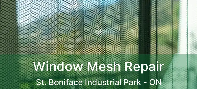  Window Mesh Repair St. Boniface Industrial Park - ON