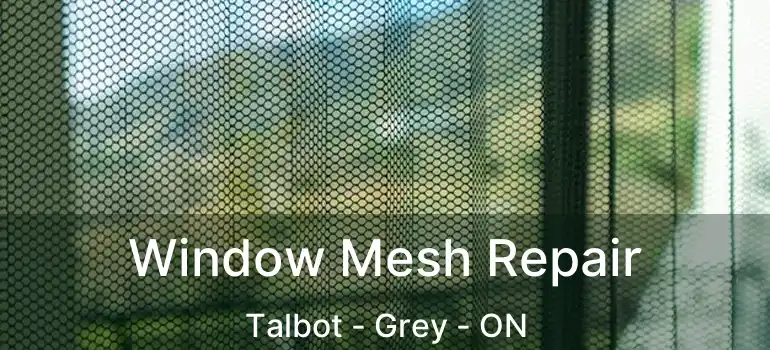  Window Mesh Repair Talbot - Grey - ON