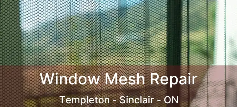  Window Mesh Repair Templeton - Sinclair - ON