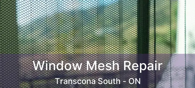  Window Mesh Repair Transcona South - ON