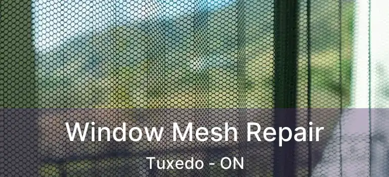  Window Mesh Repair Tuxedo - ON