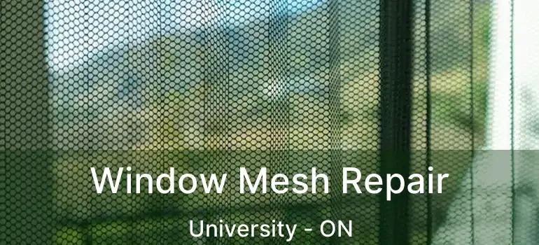  Window Mesh Repair University - ON