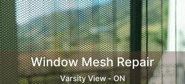  Window Mesh Repair Varsity View - ON