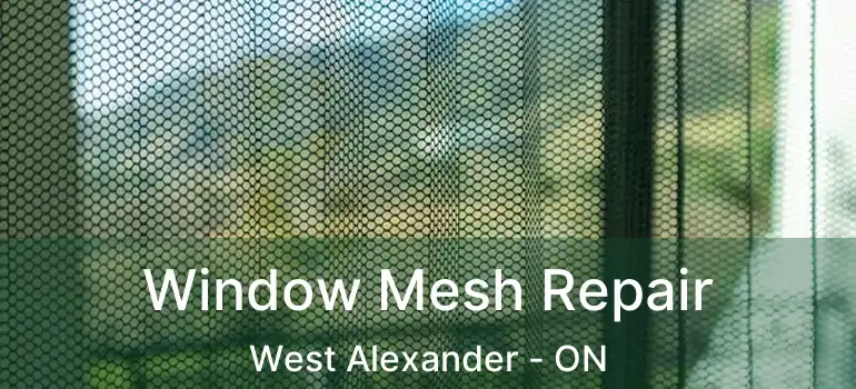  Window Mesh Repair West Alexander - ON