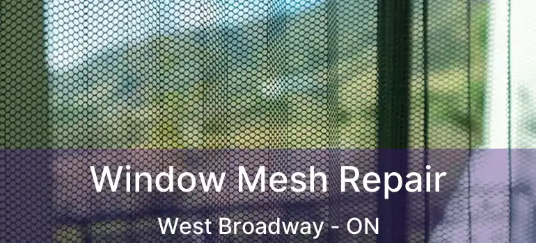  Window Mesh Repair West Broadway - ON