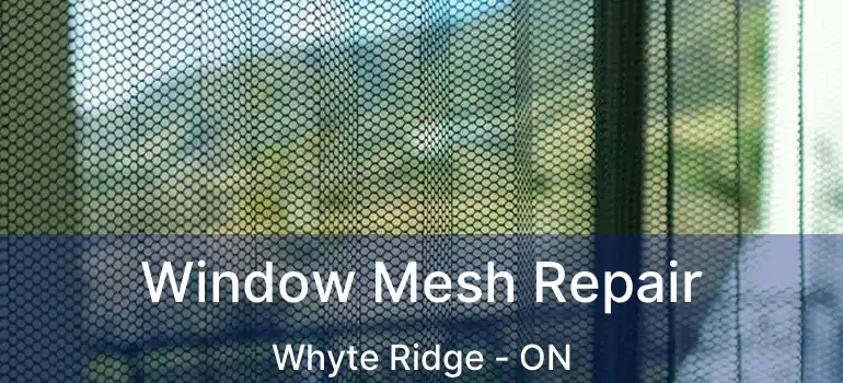  Window Mesh Repair Whyte Ridge - ON
