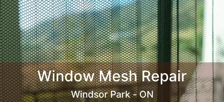  Window Mesh Repair Windsor Park - ON