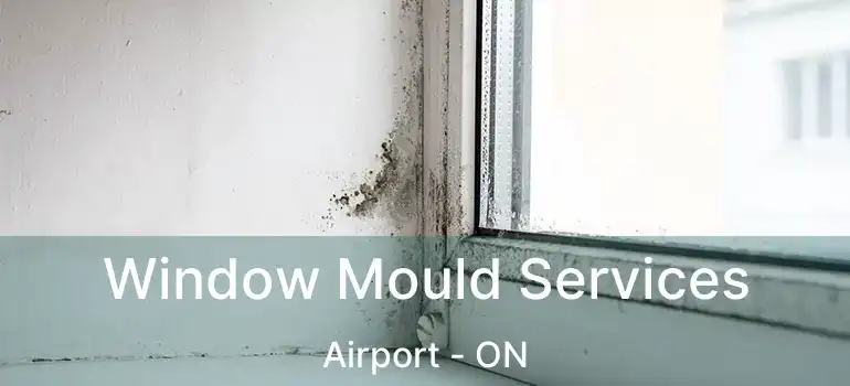  Window Mould Services Airport - ON