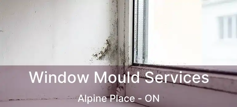  Window Mould Services Alpine Place - ON