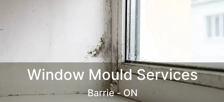  Window Mould Services Barrie - ON