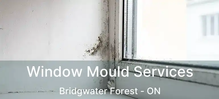  Window Mould Services Bridgwater Forest - ON
