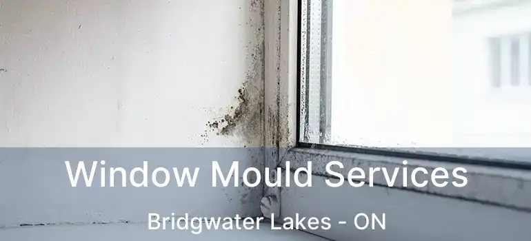 Window Mould Services Bridgwater Lakes - ON